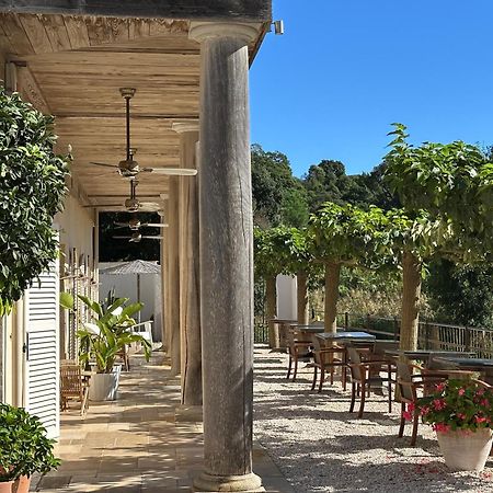 Le Clos Des Sept Palmiers Cavalaire-sur-Mer Exterior foto