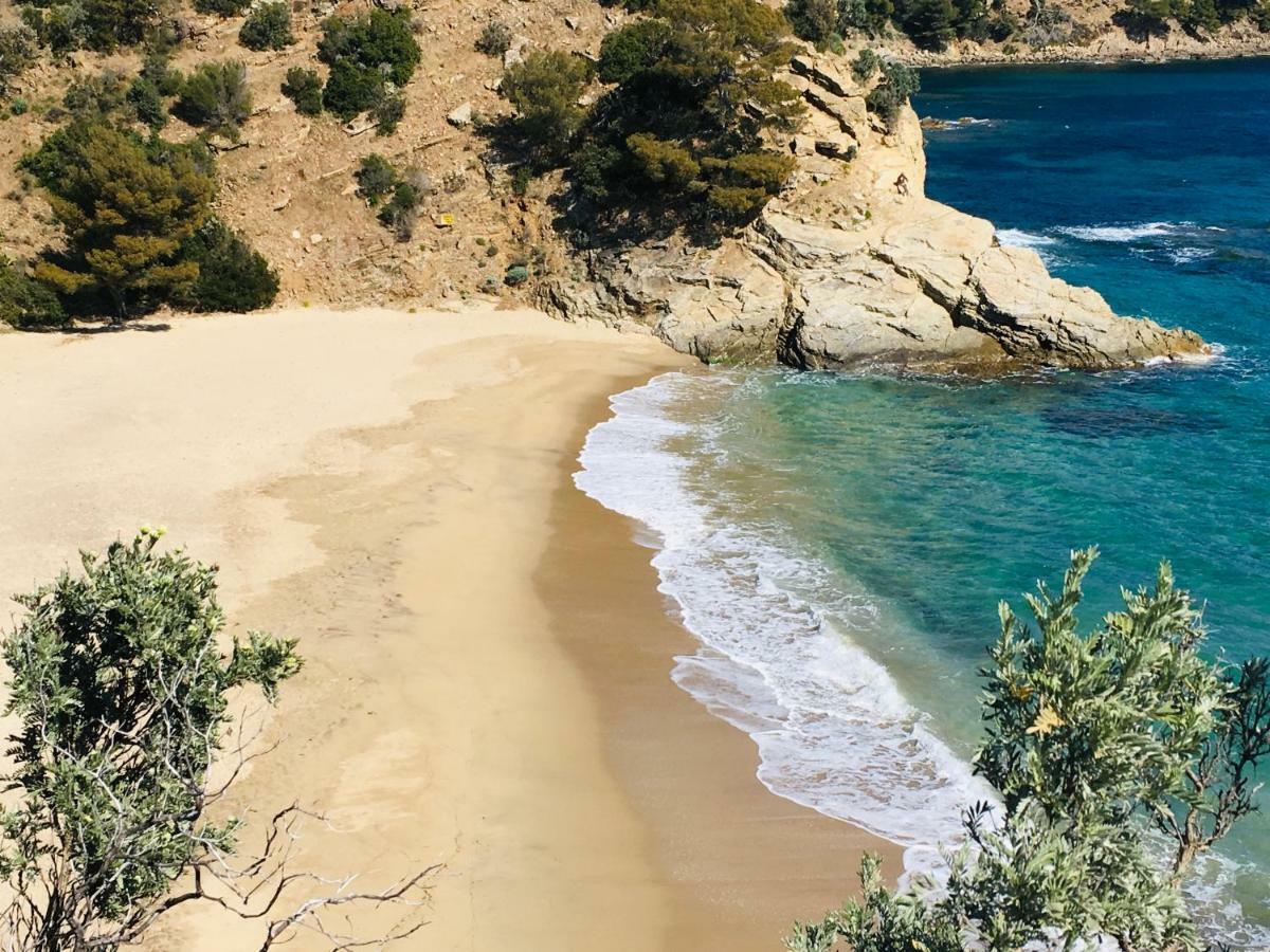Le Clos Des Sept Palmiers Cavalaire-sur-Mer Exterior foto