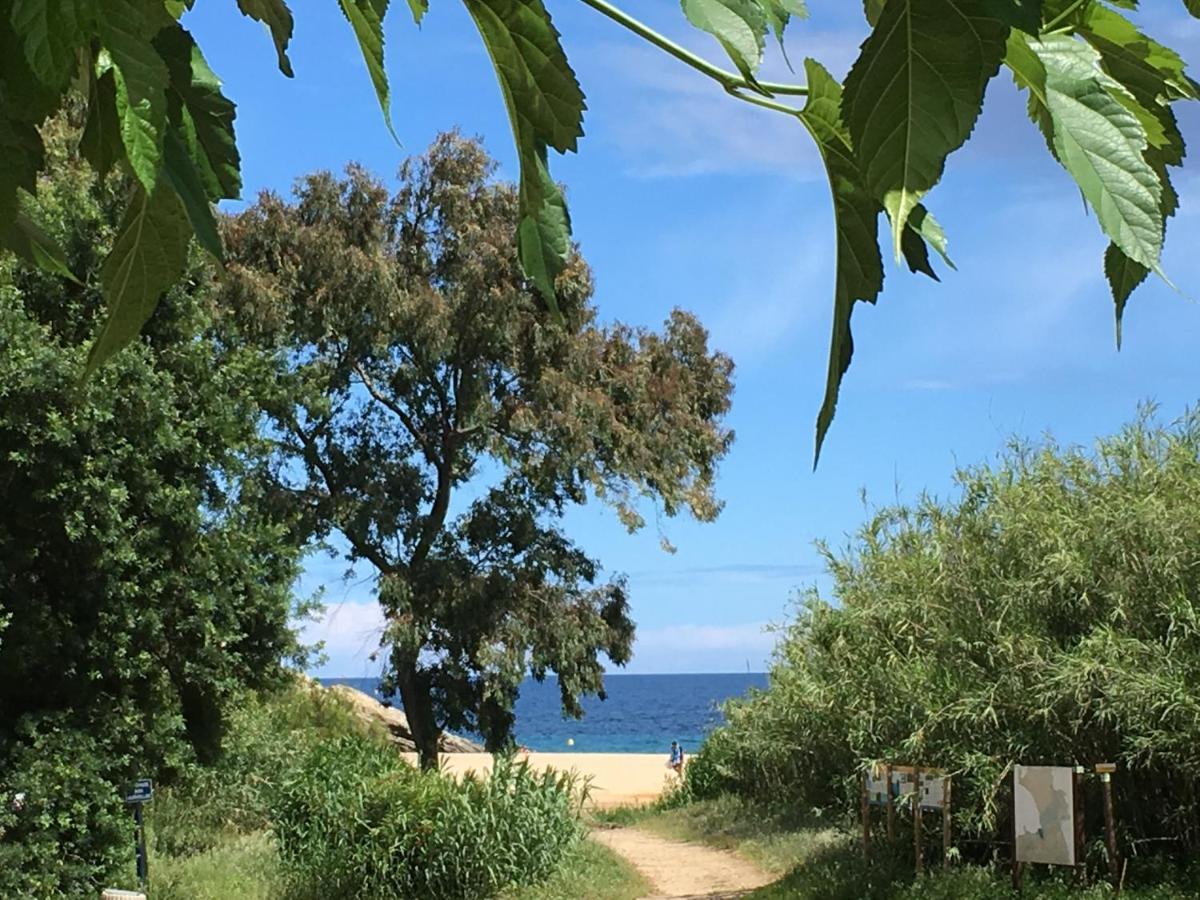 Le Clos Des Sept Palmiers Cavalaire-sur-Mer Exterior foto